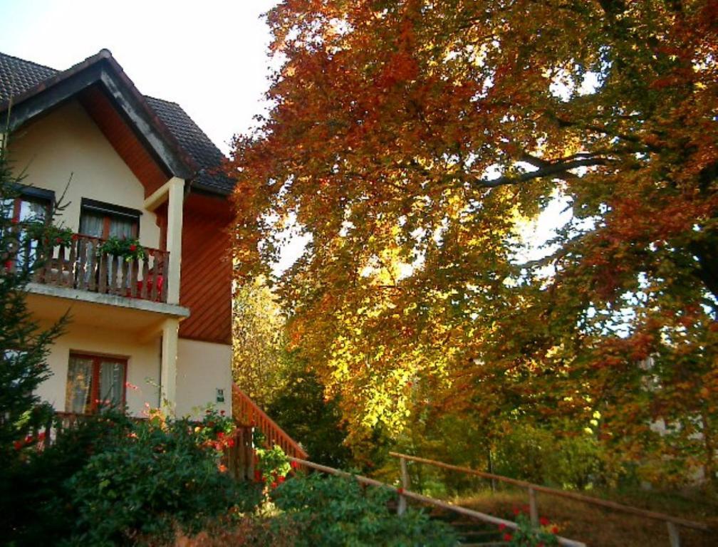 Le Chalet Luttenbach-pres-Munster Exterior photo