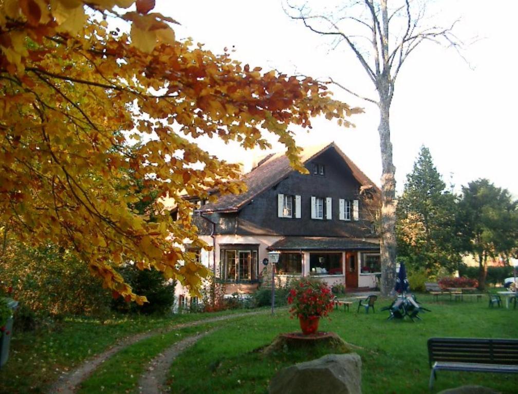 Le Chalet Luttenbach-pres-Munster Exterior photo